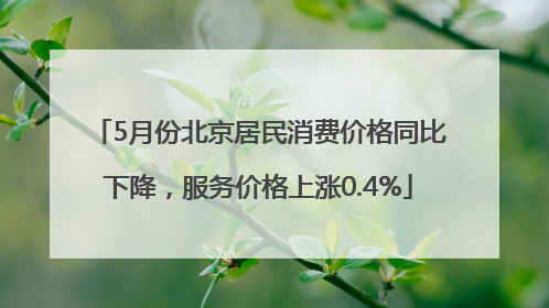 5月份北京居民消费价格同比下降，服务价格上涨0.4%