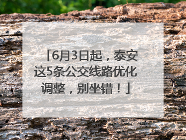 6月3日起，泰安这5条公交线路优化调整，别坐错！