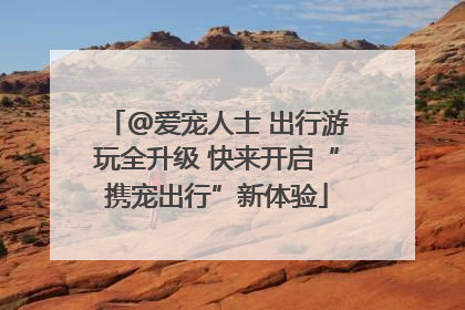 @爱宠人士 出行游玩全升级 快来开启“携宠出行”新体验