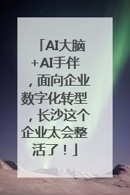 AI大脑+AI手伴，面向企业数字化转型，长沙这个企业太会整活了！