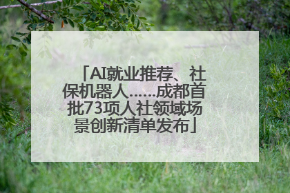 AI就业推荐、社保机器人……成都首批73项人社领域场景创新清单发布