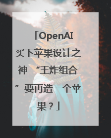 OpenAI买下苹果设计之神 “王炸组合”要再造一个苹果？