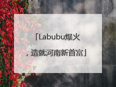 Labubu爆火，造就河南新首富